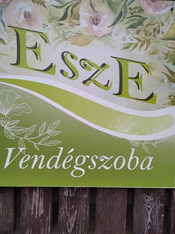 Esze Vendegszoba Tata Exteriér fotografie